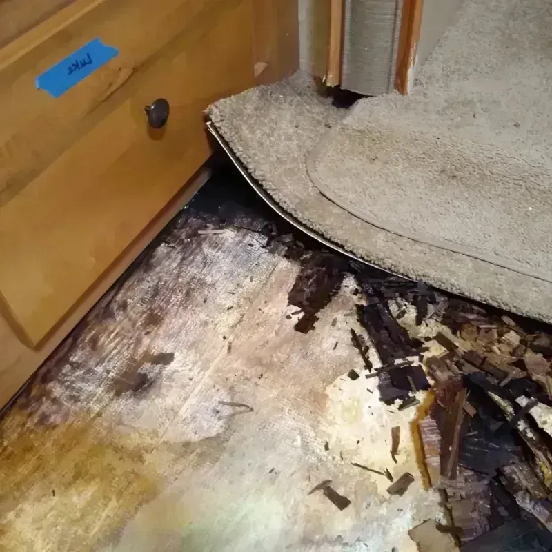 Best Wood Floor Water Damage Service in Oran, MO